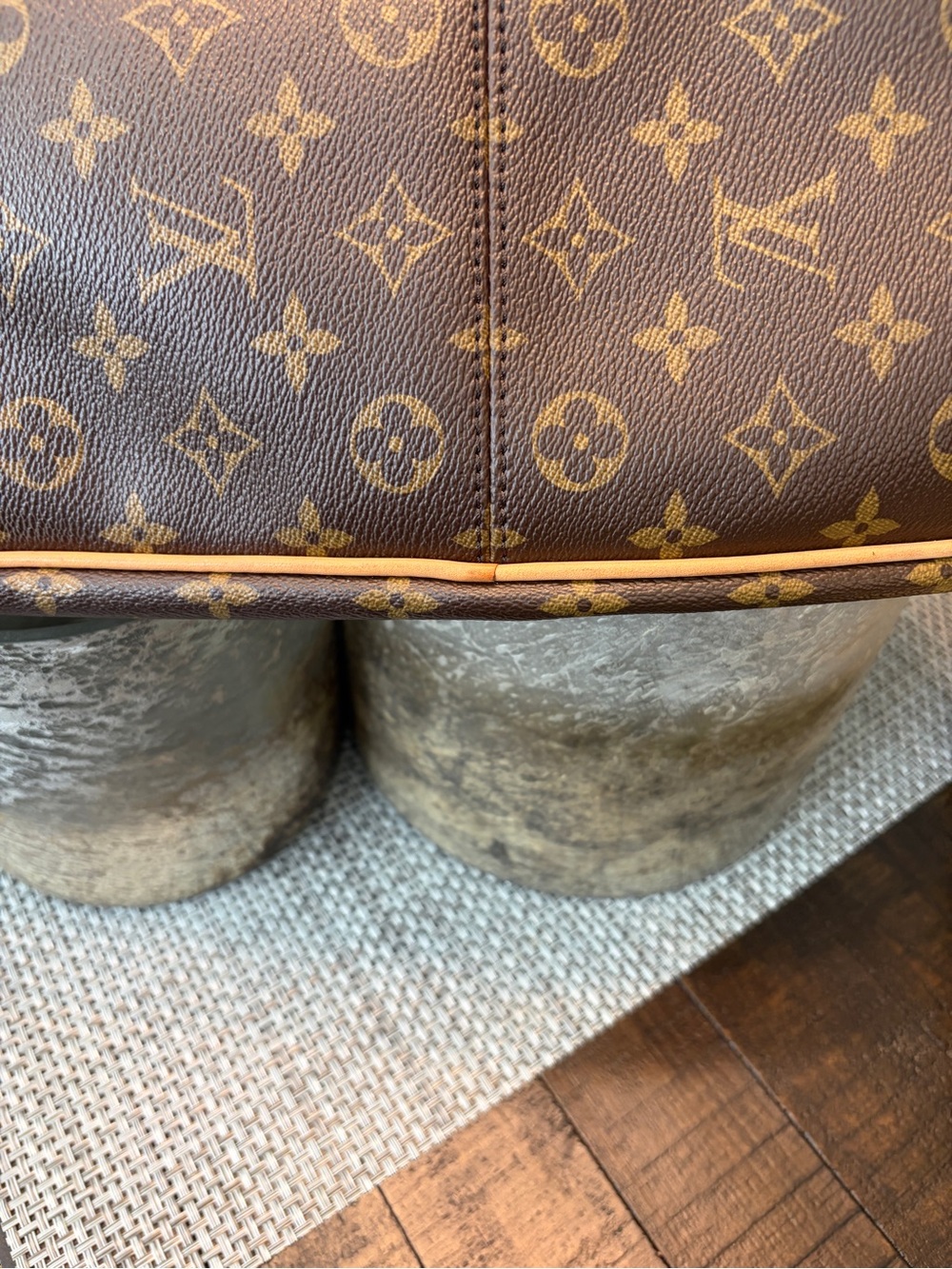 Louis Vuitton Delightful in Monogram Canvas - Picture 9 of 17